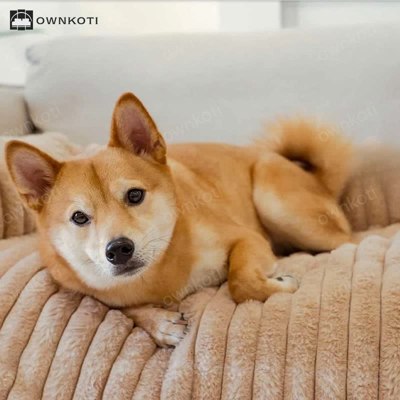 Solid Color Fluffy Sofa Protector Pet Pad
