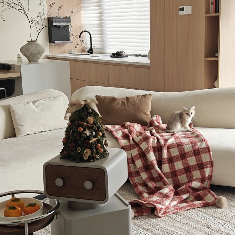 Christmas Plaid Double-Sided Blanket - image 9