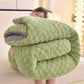 Winter Sherpa Warm Blanket with Quilt Core - image 17