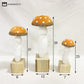 Mushroom Shape Wooden Home Decor Ornaments(3PCS)