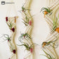 Bohemian Hand-woven Plant Holder Wall Tapestry