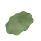Ownkoti Lotus Leaf Diatom Mud Anti-slip Bath Mat - image 2