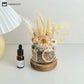 Aromatherapy Essential Oil Dried Flower Fragrance Ornament