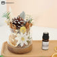 Aromatherapy Essential Oil Dried Flower Fragrance Ornament