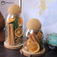 Creative Aromatherapy Glass Vase Scented Ornament