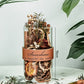 Dried Flower Essential Oil Fragrance Home Ornament