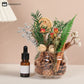 No Fire Aromatherapy DIY Dried Flower Material Pack