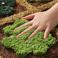 Cute Cartoon Plant Flowers Floor Mat