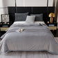 Minimalist Style Solid Color Blanket - image 22