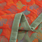 Ginkgo Biloba Organic Cotton Quilt - image 31