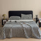Timeless Style Striped Jacquard Blanket - image 0