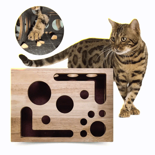 Cat Scratch Puzzle Enrichment Box - 9.84"W x 11.81"L x 2.36"H - 2 PACK - image 0