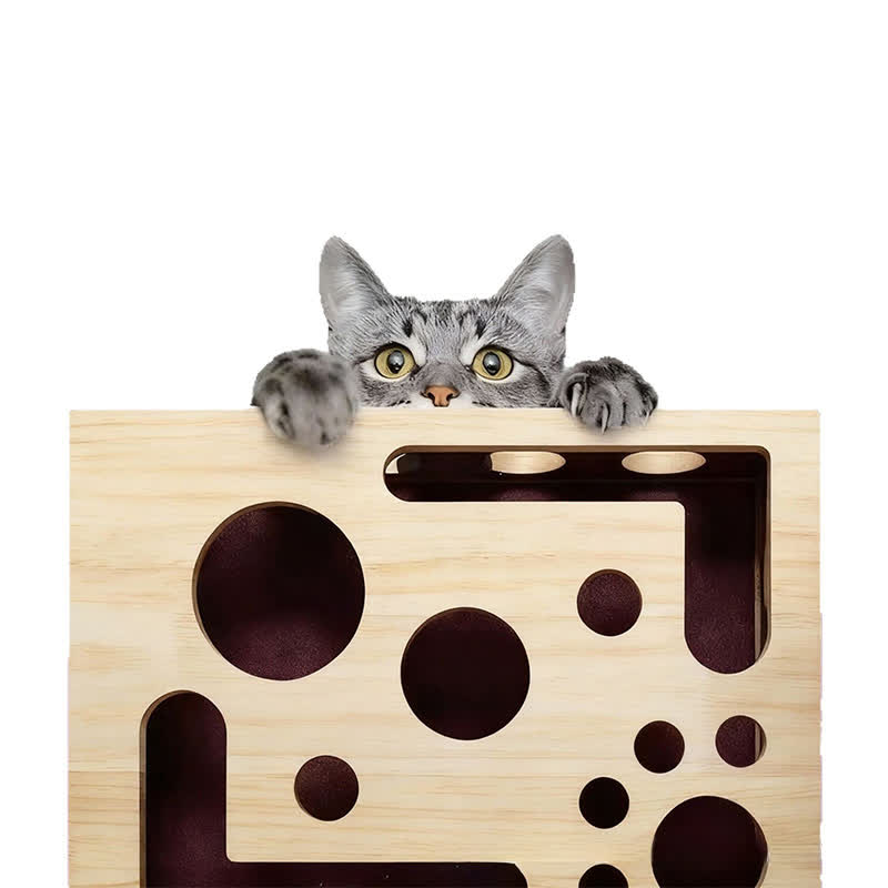Cat Scratch Puzzle Enrichment Box - image 5