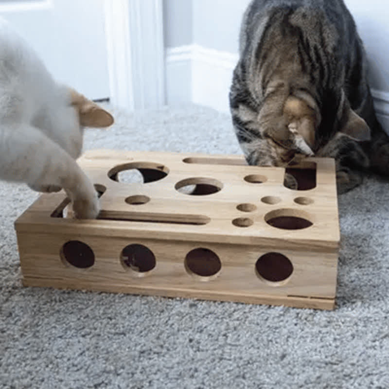 Cat Scratch Puzzle Enrichment Box - image 1