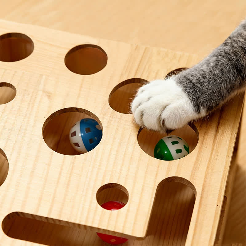 Cat Scratch Puzzle Enrichment Box - image 4