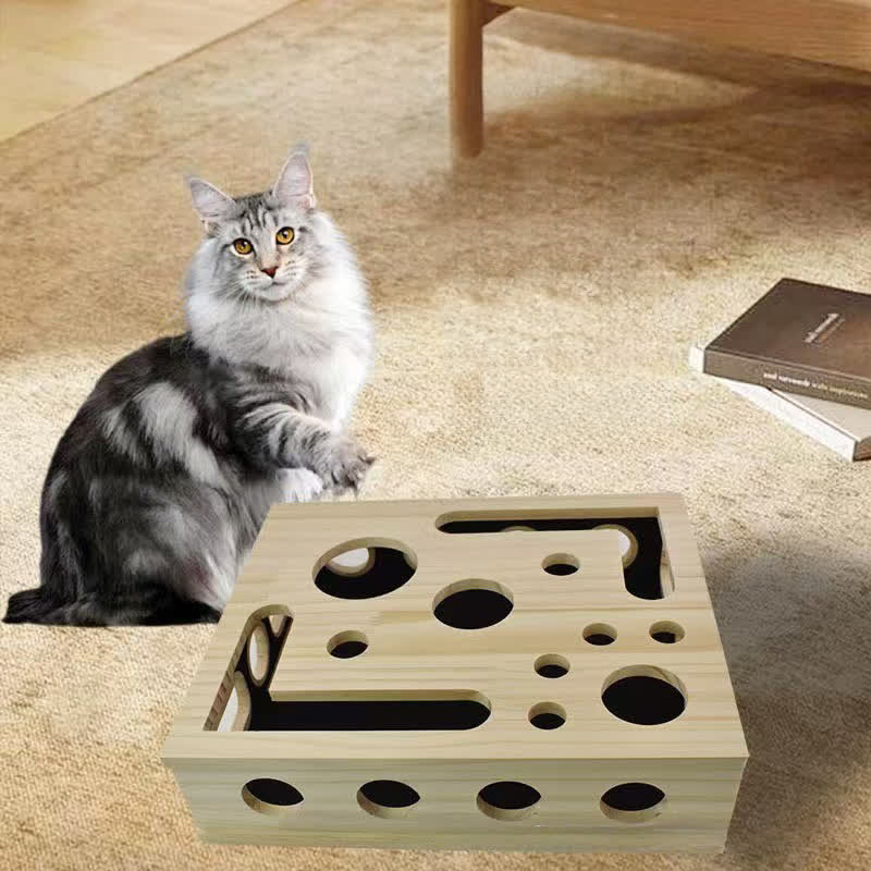 Cat Scratch Puzzle Enrichment Box - image 3