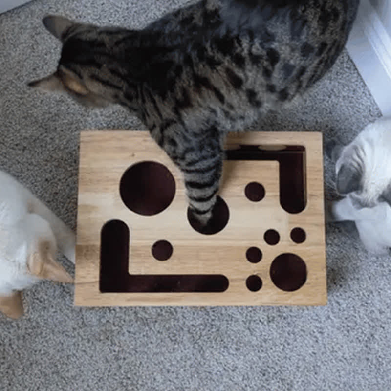 Cat Scratch Puzzle Enrichment Box - image 2