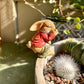 3PCS Miniature Rabbit Resin Garden Sculptures - image 3