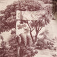 Toile Print Cotton Kimono Robe - image 15