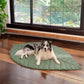 Creative Leaves Shape Soft Absorbent Pet Pad