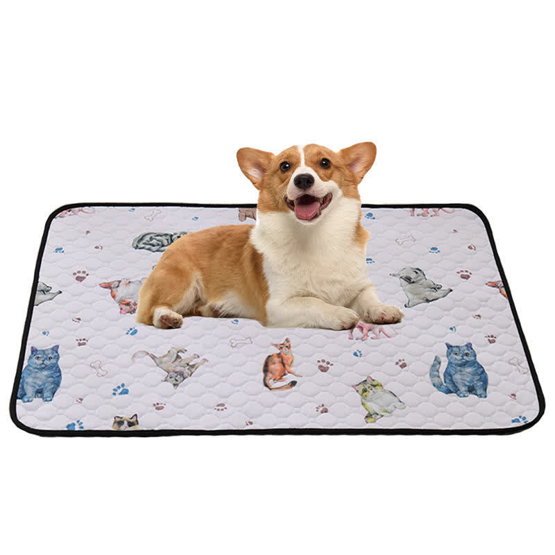 Cute Animal Training Pet Pee Pad