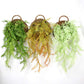 Ownkoti Handwoven Plant Basket with Handle (3PCS) - image 4