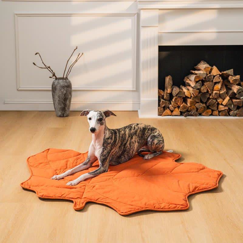 Creative Leaves Shape Soft Absorbent Pet Pad