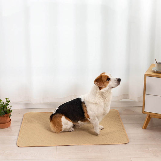 Simple Washable Absorbent Pet Pee Pad