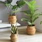 Ownkoti Woven Seagrass Belly Basket Storage Plant Pot Basket (2PCS)