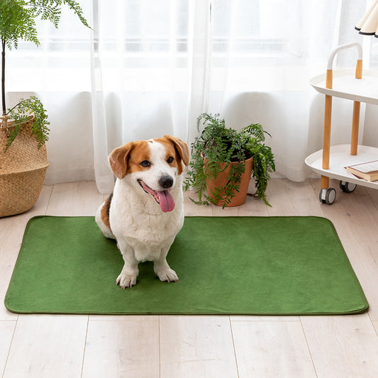 Solid Color Comfy Absorbent Pet Pad