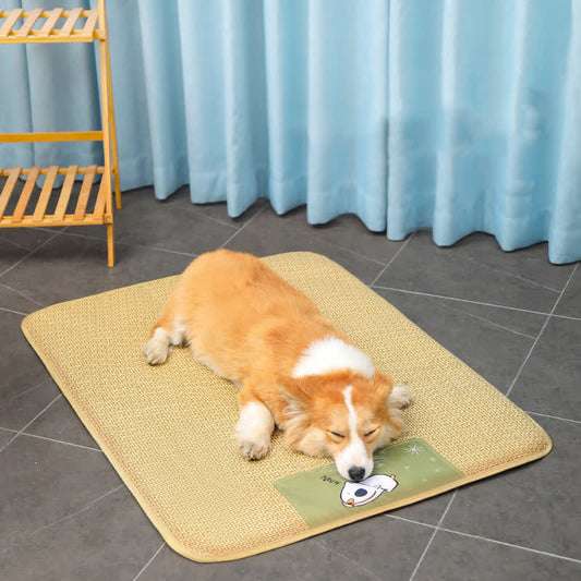 Rattan Mat Woven Cooling Pet Mat