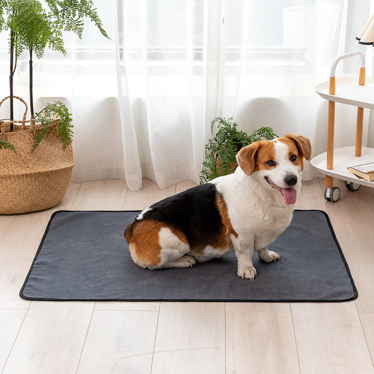 Solid Color Comfy Absorbent Pet Pad