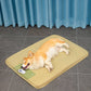 Rattan Mat Woven Cooling Pet Mat