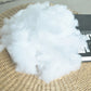 Ownkoti White Fluffy Ultra Soft Pillow Core