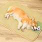 Rattan Mat Woven Cooling Pet Mat