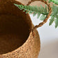 Ownkoti Woven Seagrass Belly Basket Storage Plant Pot Basket (2PCS)